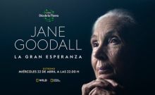 imagen: Jane Goodall: la gran esperanza