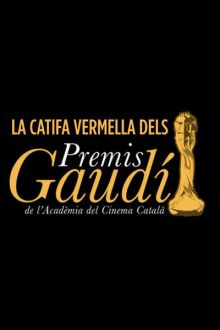 imagen: La catifa vermella dels Premis Gaudí