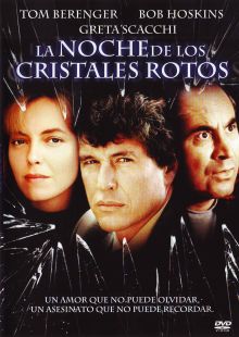 imagen: La noche de los cristales rotos