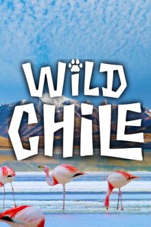 imagen: Wild Chile