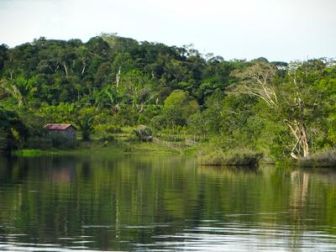 imagen: Amazonia