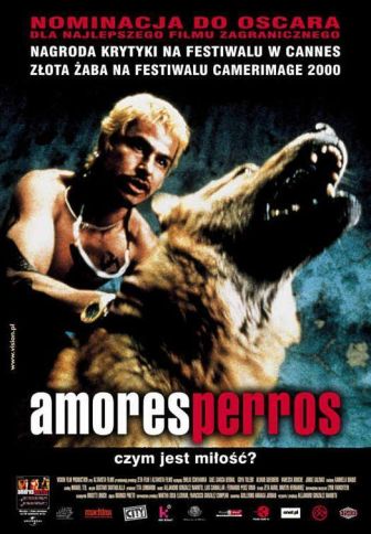 imagen: Amores perros