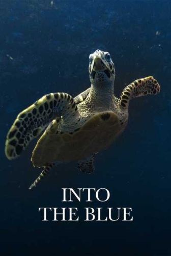 imagen: Into the blue