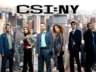 imagen: CSI New York