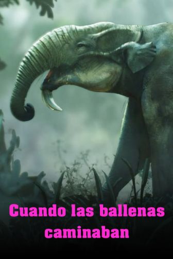 imagen: Cuando las ballenas caminaban