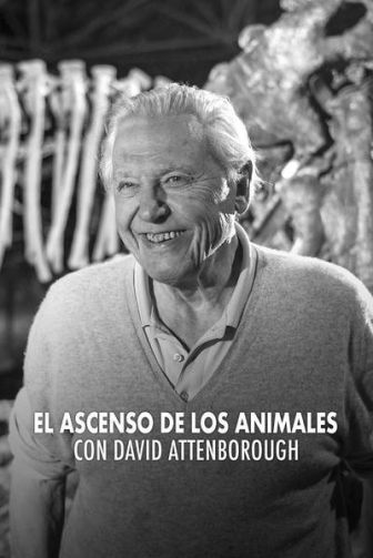 imagen: El ascenso de los animales con David Attenborough: El triunfo de los vertebrados