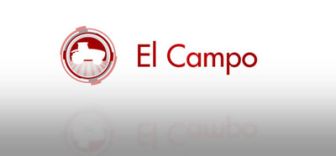 imagen: El campo