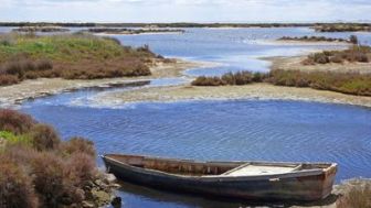 imagen: El Ebro, caminos de agua