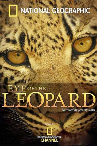 imagen: El ojo de leopardo