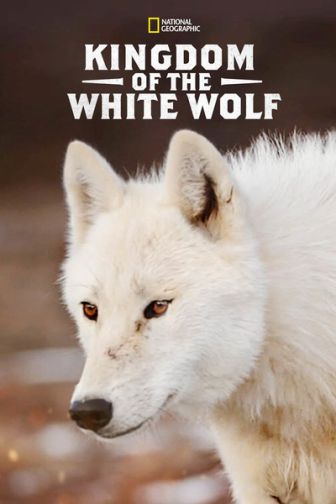 imagen: El reino del lobo blanco