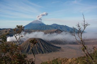 imagen: Fuerzas de la naturaleza