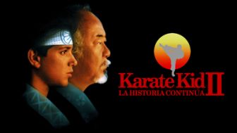 imagen: Furia Madcial: Karate Kid II: La historia continúa