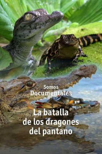 imagen: La batalla de los dragones del pantano