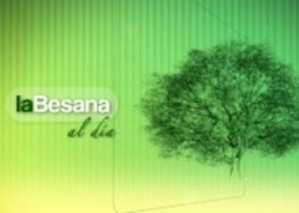 imagen: La besana al día