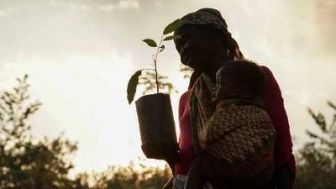 imagen: La hora de la naturaleza