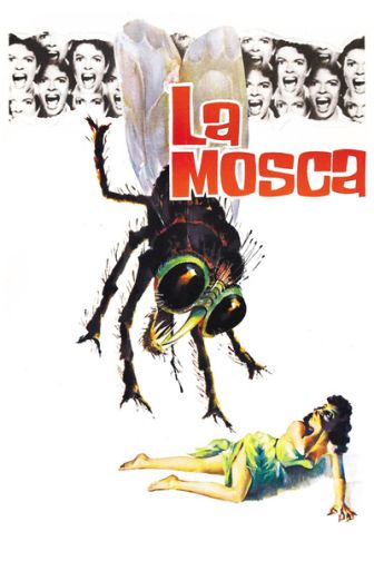 imagen: La mosca