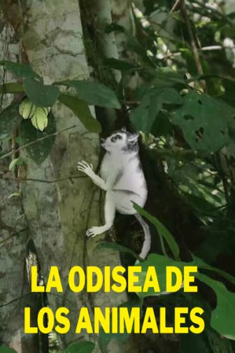 imagen: La odisea de los animales