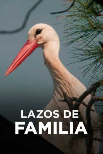 imagen: Lazos de familia