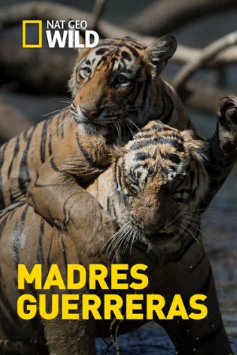 imagen: Madres guerreras