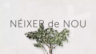 imagen: Néixer de nou