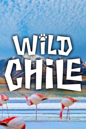 imagen: Wild Chile