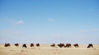 imagen: Wild Mongolia: Tierra de extremos